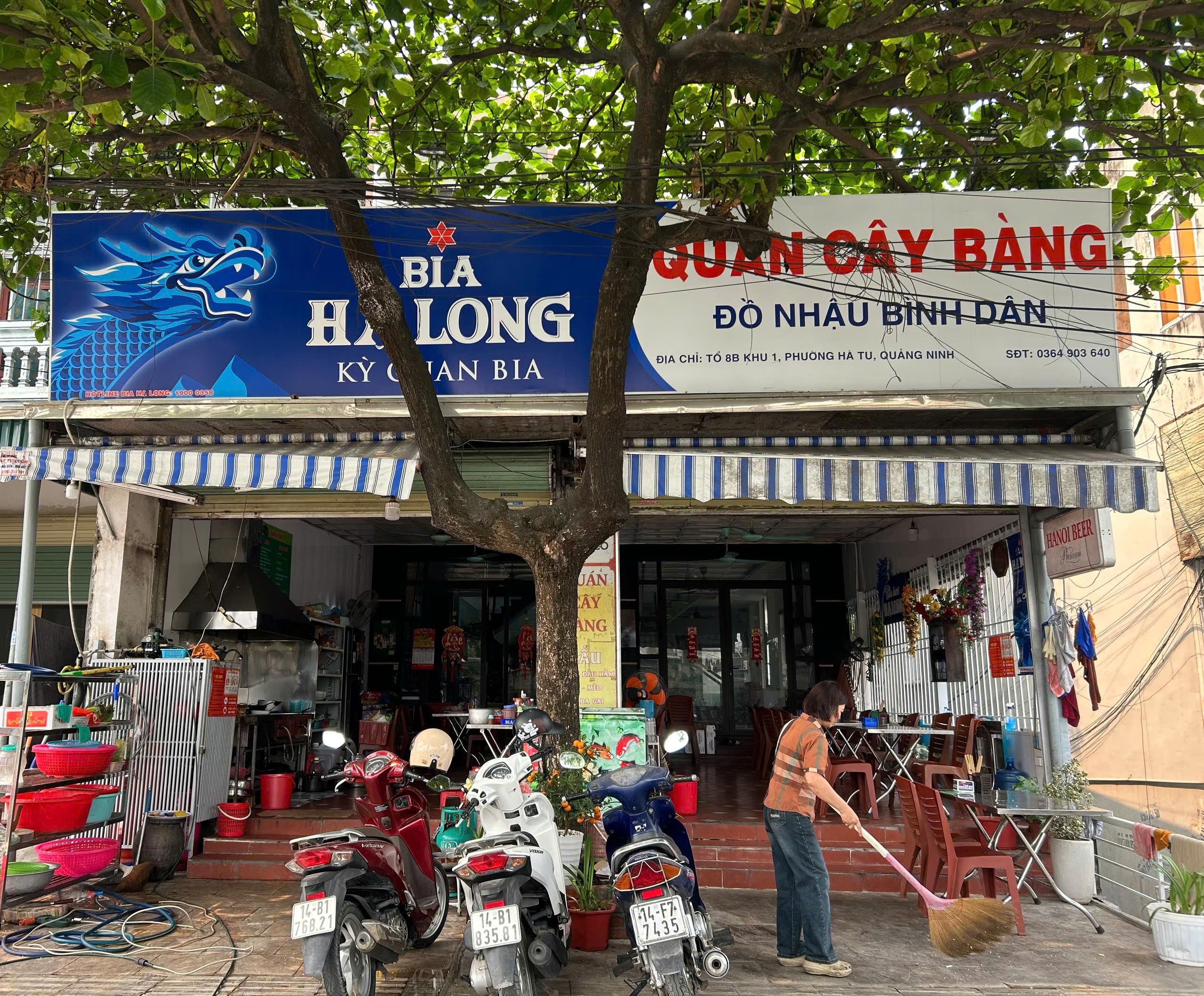 Quán bia Cây Bàng, phường Hà Tu